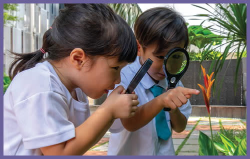 Nature Smart - child exploring nature